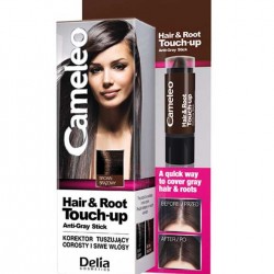 Delia Cameleo Hair & Root Touch Up Anti-Gray Stick Brown