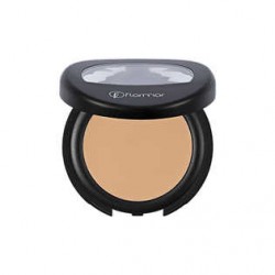 Flormar Full Coverage Concealer 01