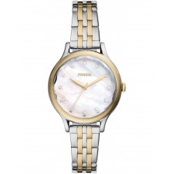 Fossil BQ3864