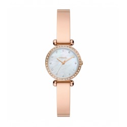Fossil FBQ3894
