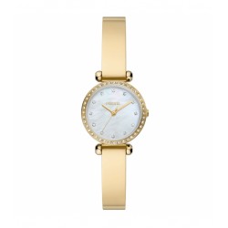 Fossil FBQ3895