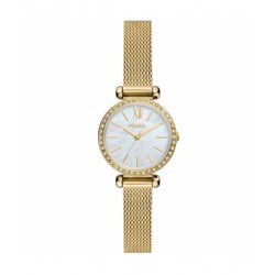 Fossil FBQ3898