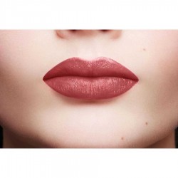 Loreal Paris Color Riche Lipstick 110