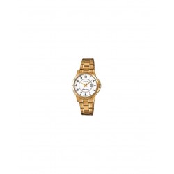 Casio LTPV004G7BUDF